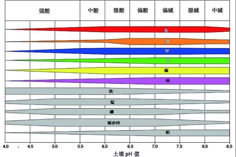 土壤PH速測(cè)儀，快速測(cè)PH